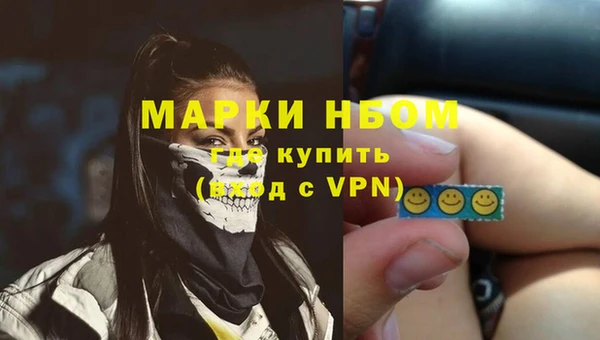 PSILOCYBIN Бородино