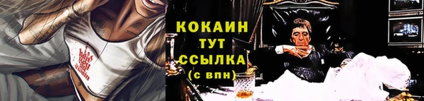 PSILOCYBIN Бородино