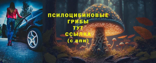 дживик Богородск