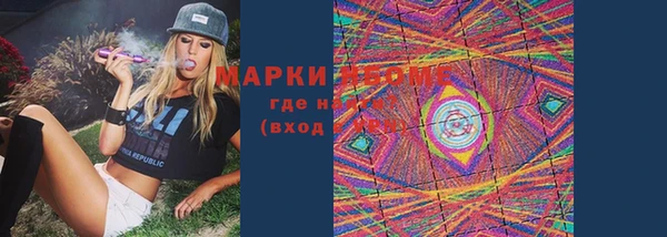 хмурый Богородицк