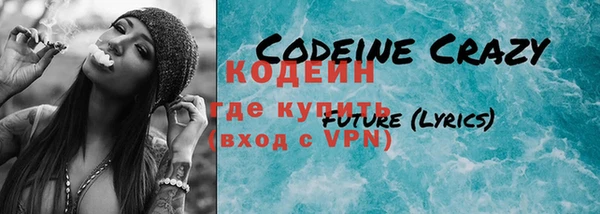 хмурый Богородицк
