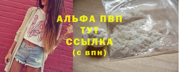 PSILOCYBIN Бородино