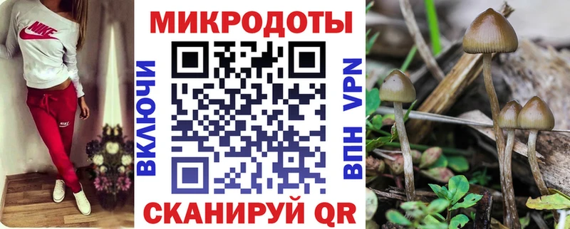 Галлюциногенные грибы ЛСД  Купить закладки  Красновишерск 
